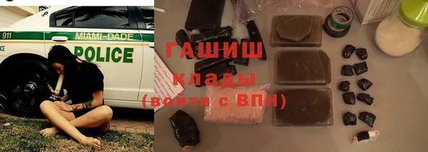 ешки Алексин